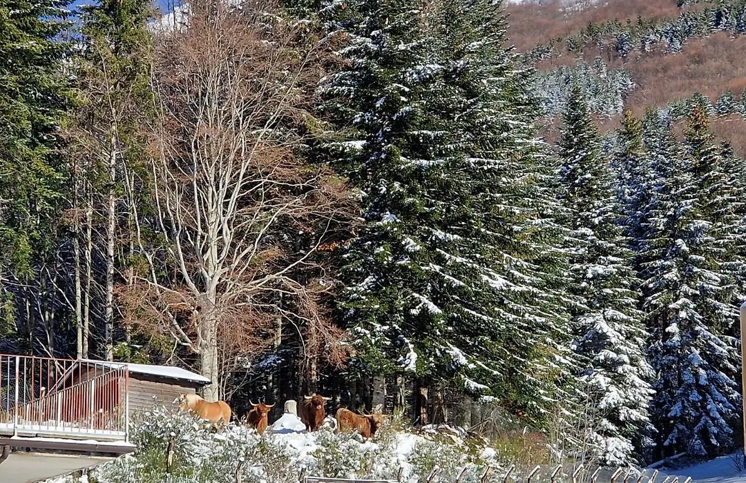 Alpe di Sara-1